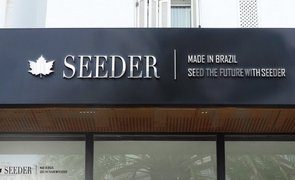 11 01 NOVAS IMAGENS BLOG
