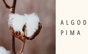 blog algodao pima copiar