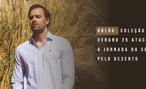 blog seeder blog